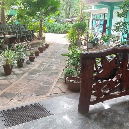 Sigiri Lion Lodge Sigiriya Bagian luar foto