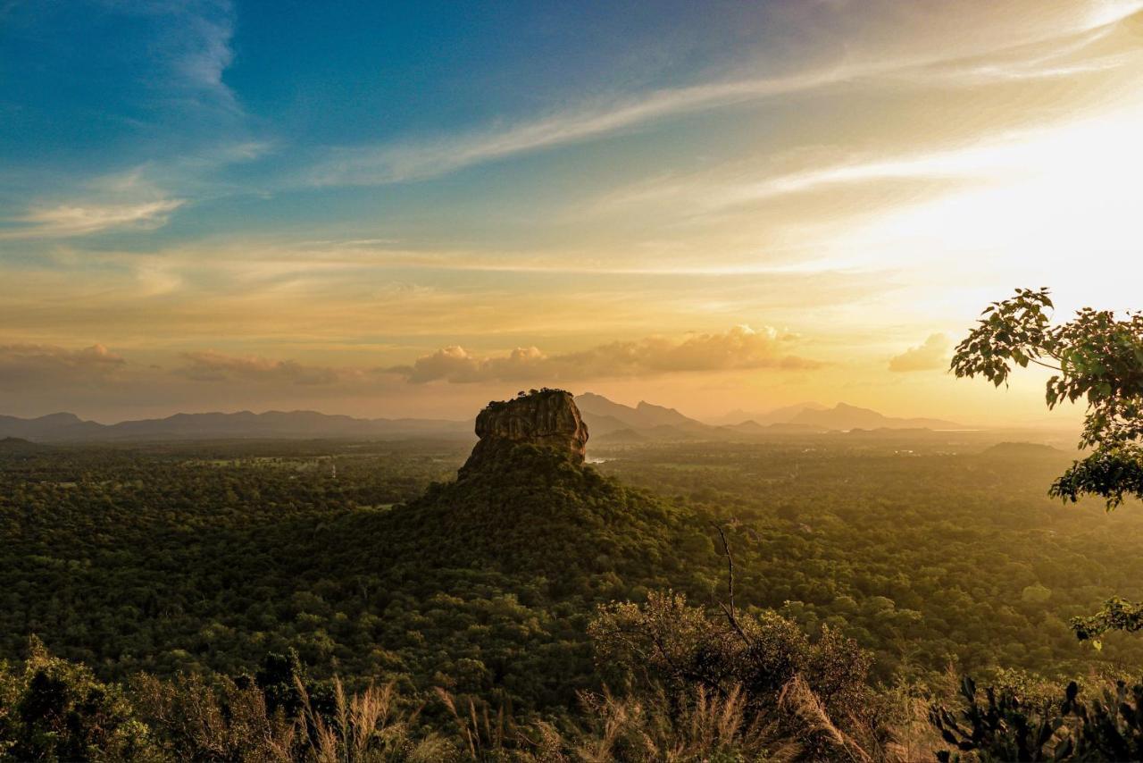 Sigiri Lion Lodge Sigiriya Bagian luar foto