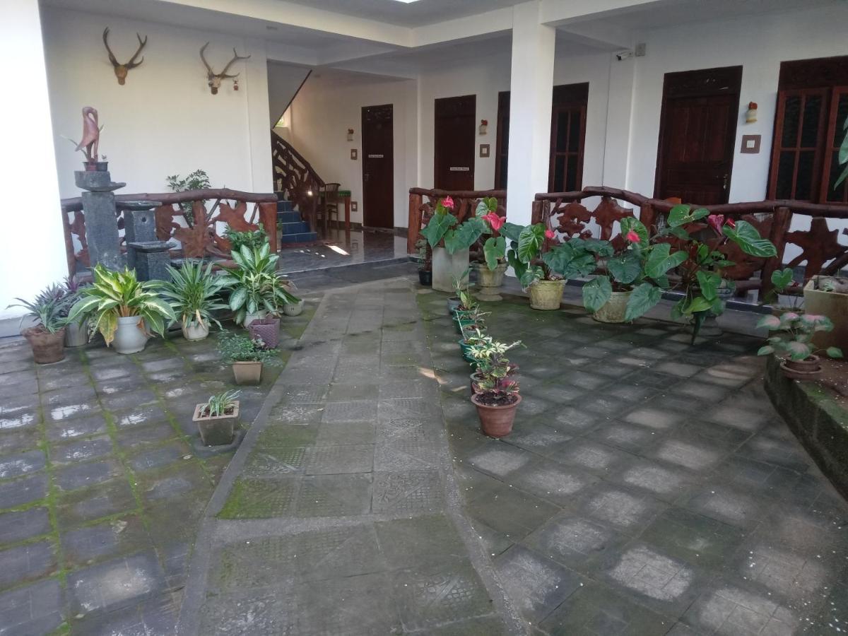 Sigiri Lion Lodge Sigiriya Bagian luar foto