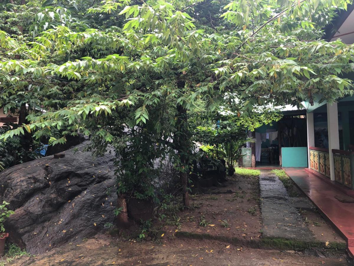 Sigiri Lion Lodge Sigiriya Bagian luar foto